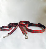 Pawsazz Couture Collars and Leads - Pawsazz - Pawsazz - 1